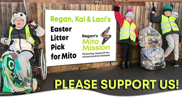 Litter Picking for Mito