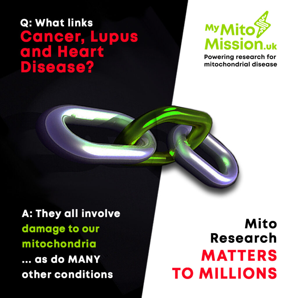 Mito Common Conditions Cancer, Lupus & Heart Disease