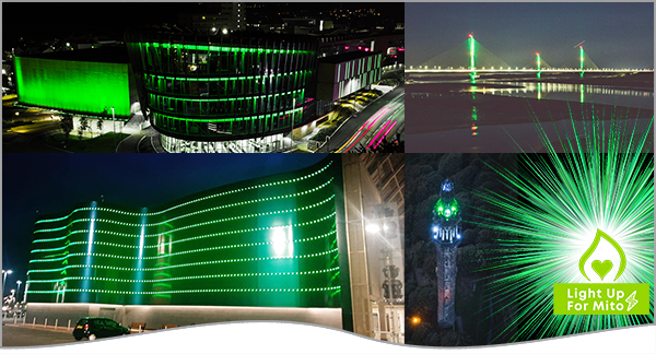 The World Lights Up For Mito!