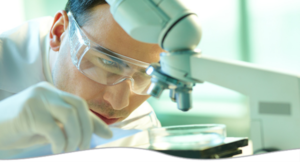 The Lily Foundation research news