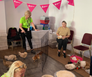 Petting zoo and lottery