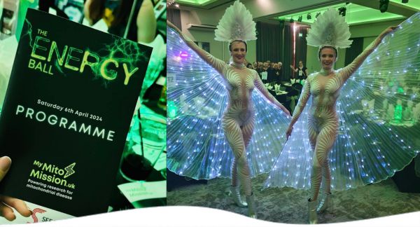 The Energy Ball – An Amazing Success