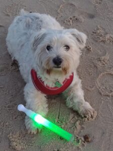 Alfie lit up for mito