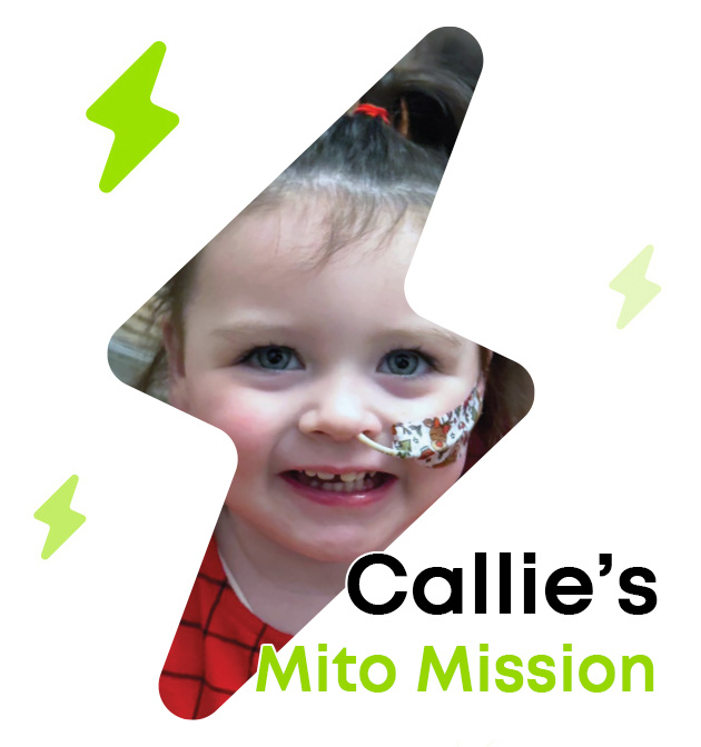 Callie Home Page Slider