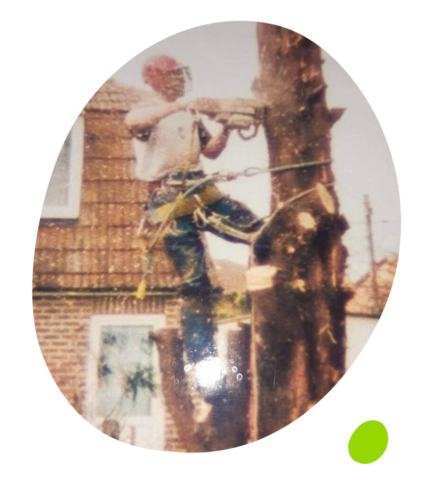 Jason's mission Jason tree surgeon