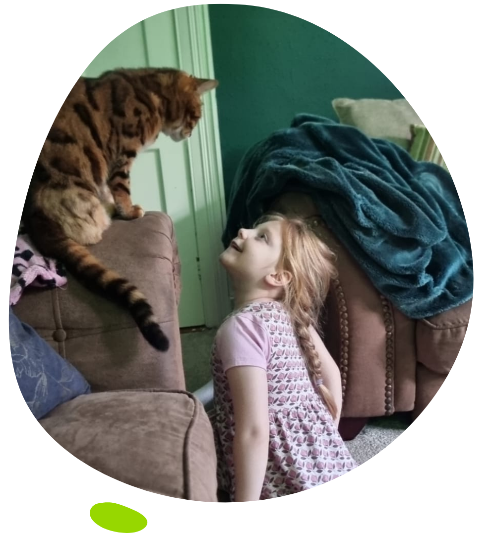 Daisy looking at cat