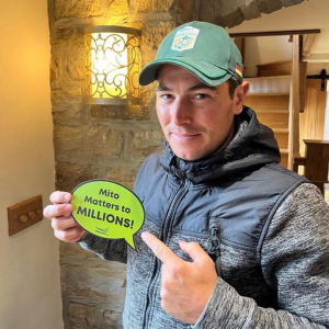 Joe Whitaker - International Showjumper