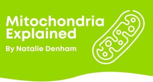 Mitochondria explained