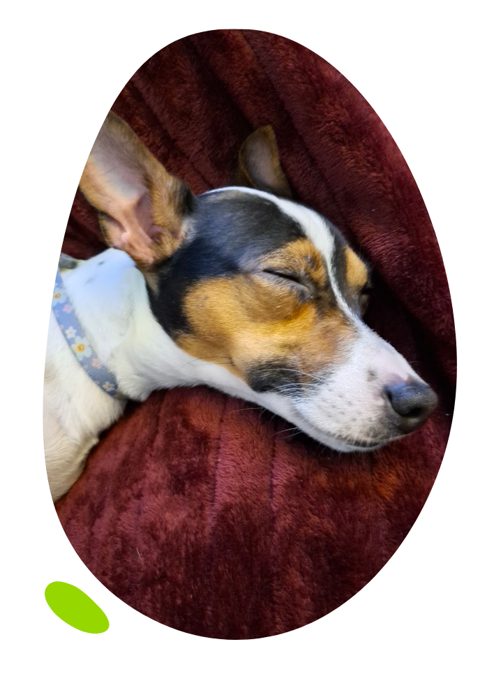 Christine's dog blob