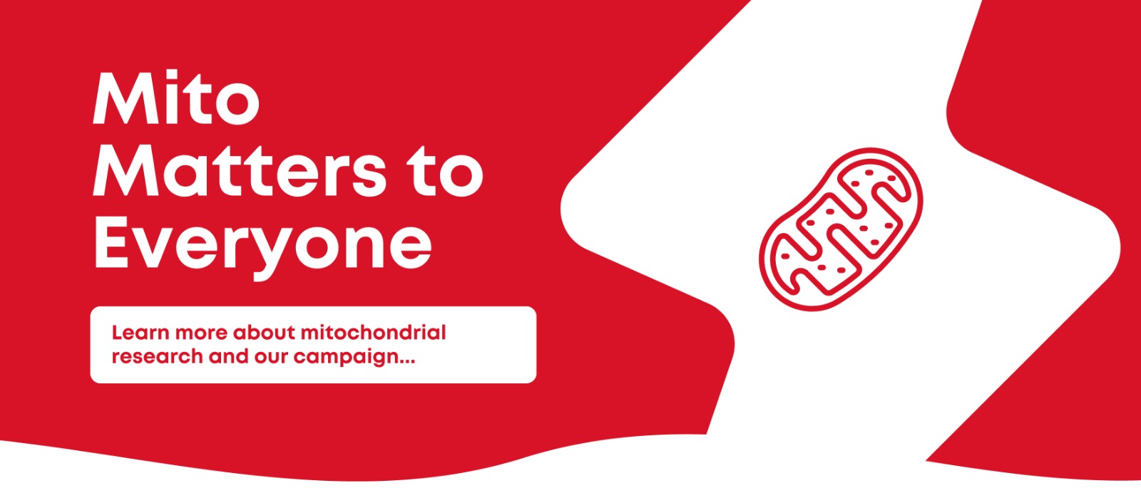 Mito matters to everyone banner
