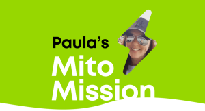 Paula news