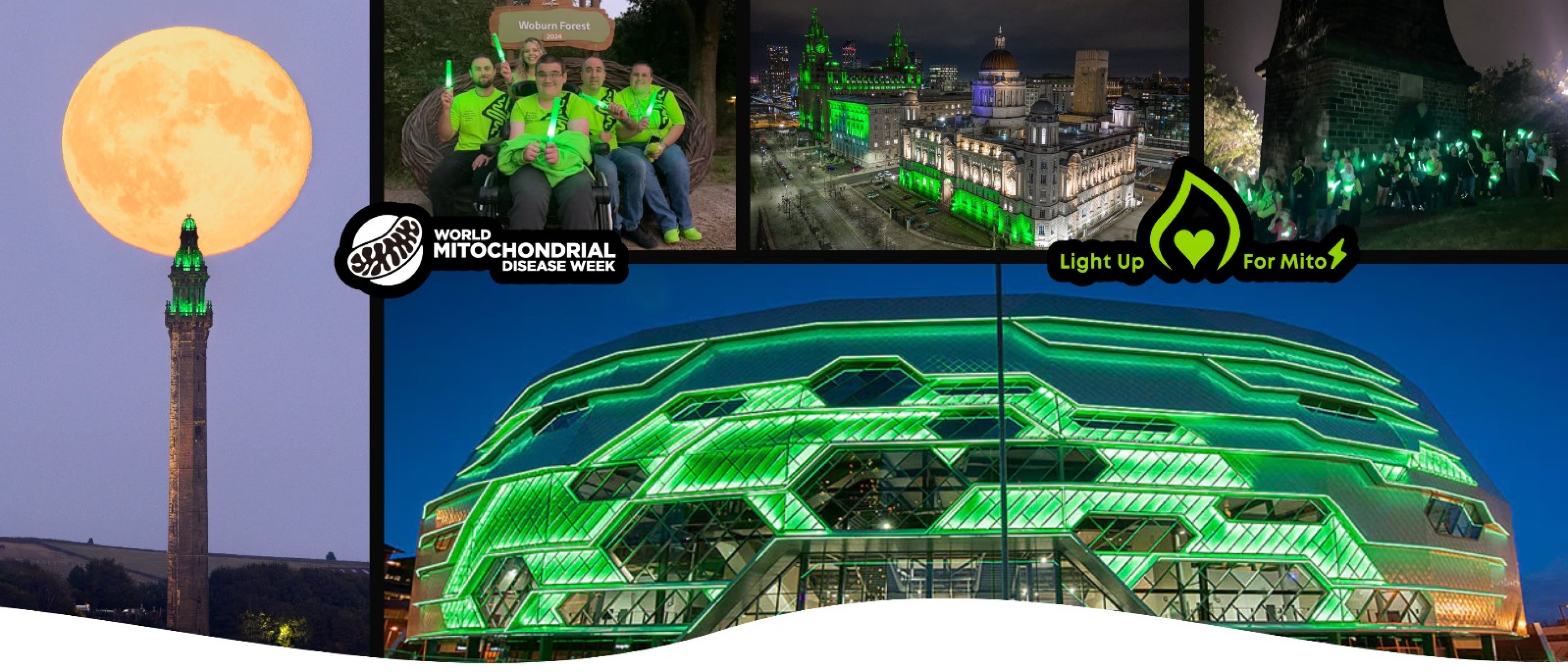 Light Up For Mito banner image